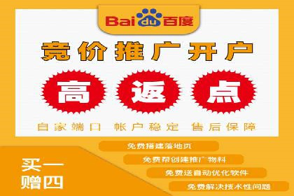 百度广告推广案例解析